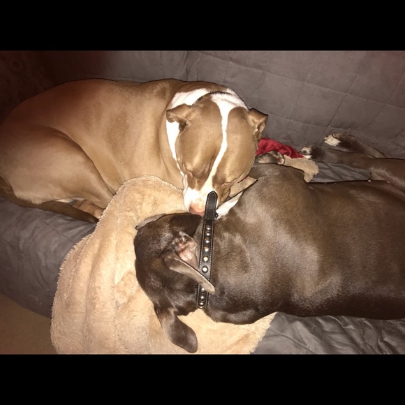 Meet your Posher, Maureen - Picture 2 of 2